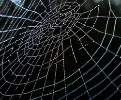 Spinnennetz Knüpfen